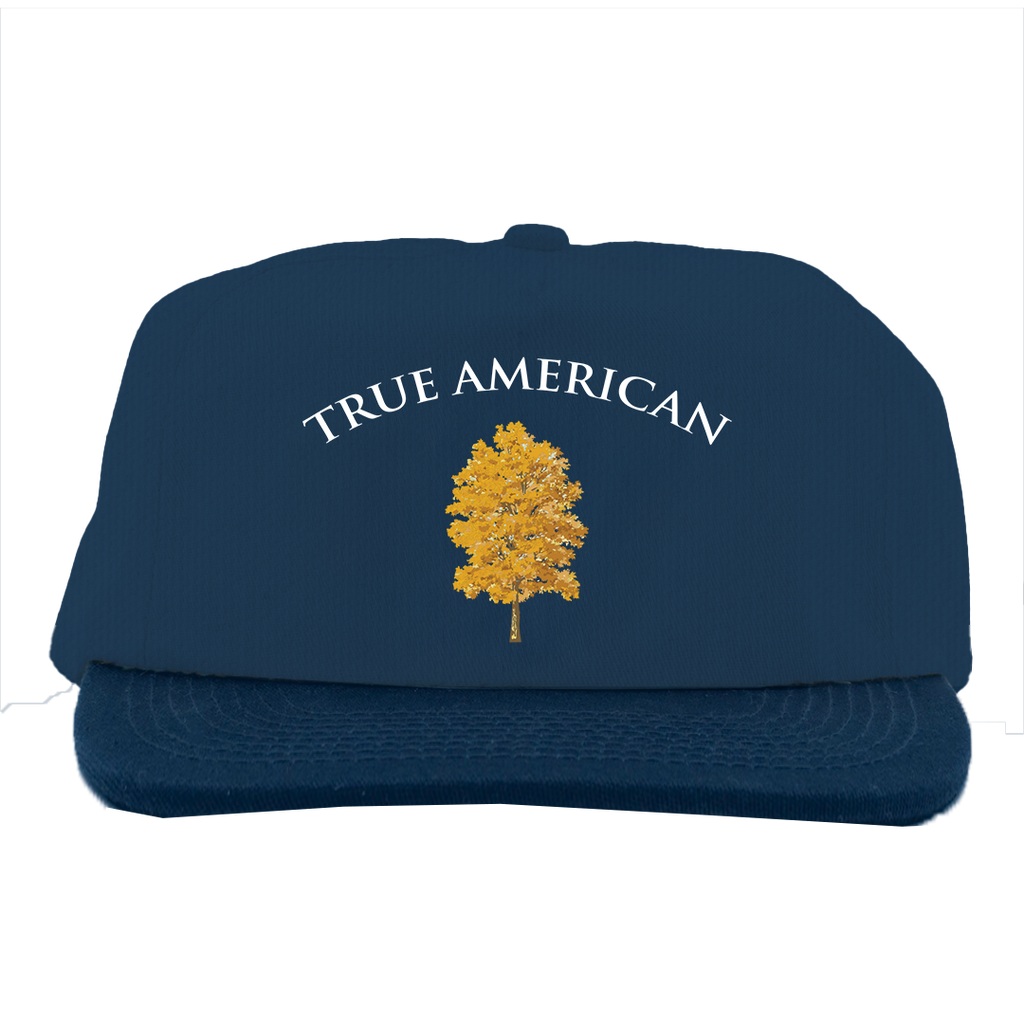 True American '84 Cotton Hat
